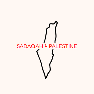 Team Page: Sadaqah 4 Palestine